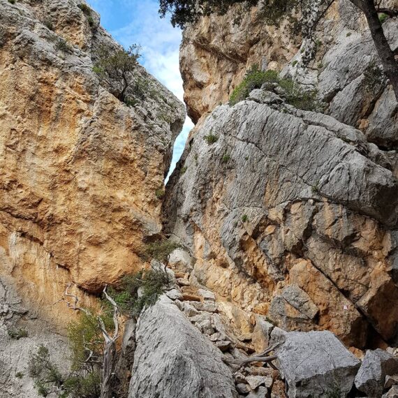 tiscali-villaggio-curtigia-oliena-dorgali-supramonte-escursione