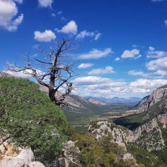 villaggio-tiscali-oliena-dorgali-supramonte-trekking