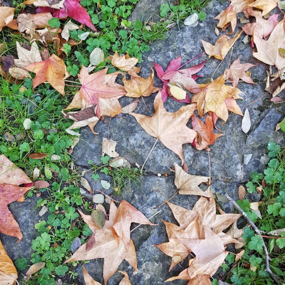 autunno-ussassai-ogliastra-tacchi