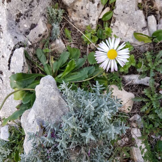 selvaggio-blu-baunei-ogliastra-supramonte