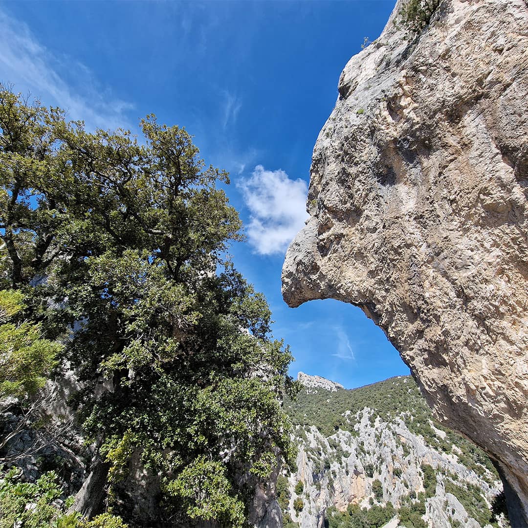 bacu-sarachinu-monticheddu-as-campanas-dorgali-urzulei-ogliastra-barbagia