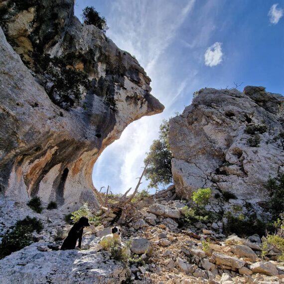 monticheddu-as-campanas-dorgali-bacu-sarachinu-supramonte-walking-in-sardinia-escursione