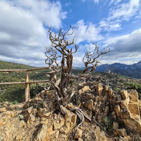 talana-sorberine-gennargentu-ogliastra-walking-in-sardinia-trekking