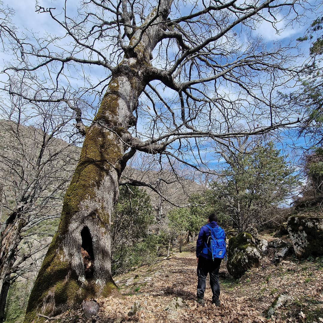 genna-duio-villagrande-strisaili-fonni-barbagia-gennargentu-trekking-walking-in-sardinia-barbagia